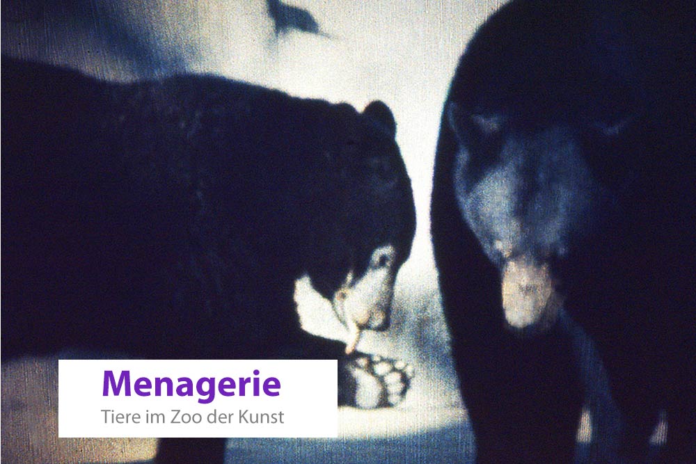 Menagerie – Tiere im Zoo der Kunst, 2016